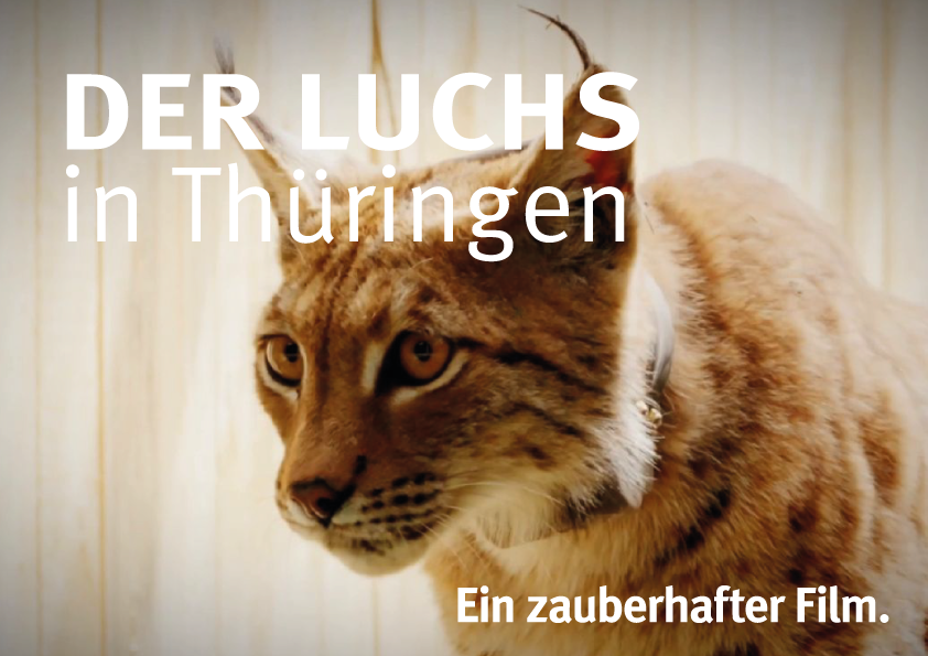 Luchs in Thüringen