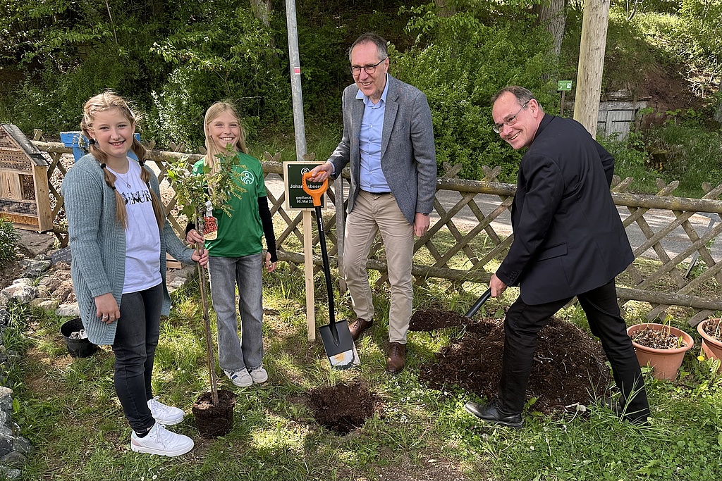 Minister Kummer pflanzt gemeinsam mit Schülerinnen und dem Direktor einen Baum auf dem Schulhof.