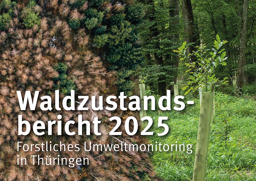 Waldzustandsbericht 2025