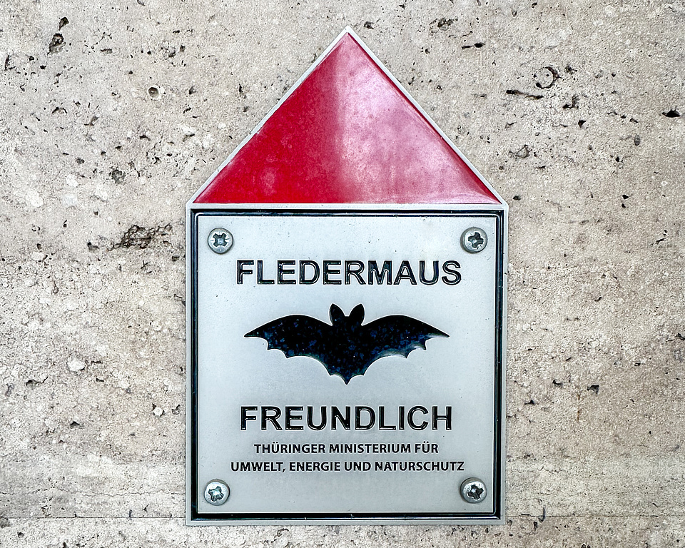 Aktion "Fledermausfreundlich"
