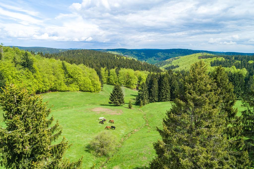 Blick ins Vessertal (Foto: Christopher Schmid). Blick ins Vessertal (Foto: Christopher Schmid).