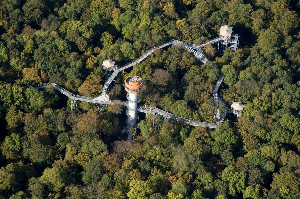 Der Hainich von oben (Foto: Thomas Stephan). Der Hainich von oben (Foto: Thomas Stephan).