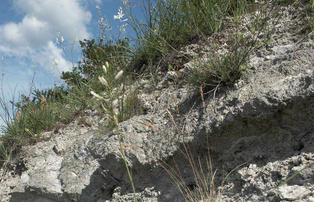 Gipslandschaft am Kyffhäuserweg (Foto: Lutz Koch).
