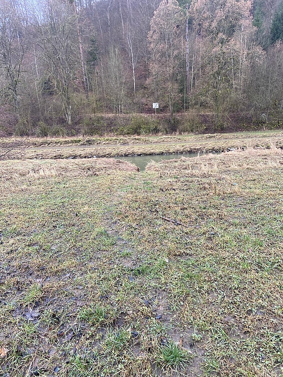 Biberpfad