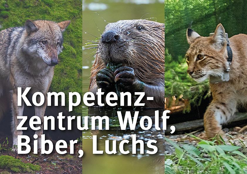 Kompetenzzentrum Wolf, Biber, Luchs