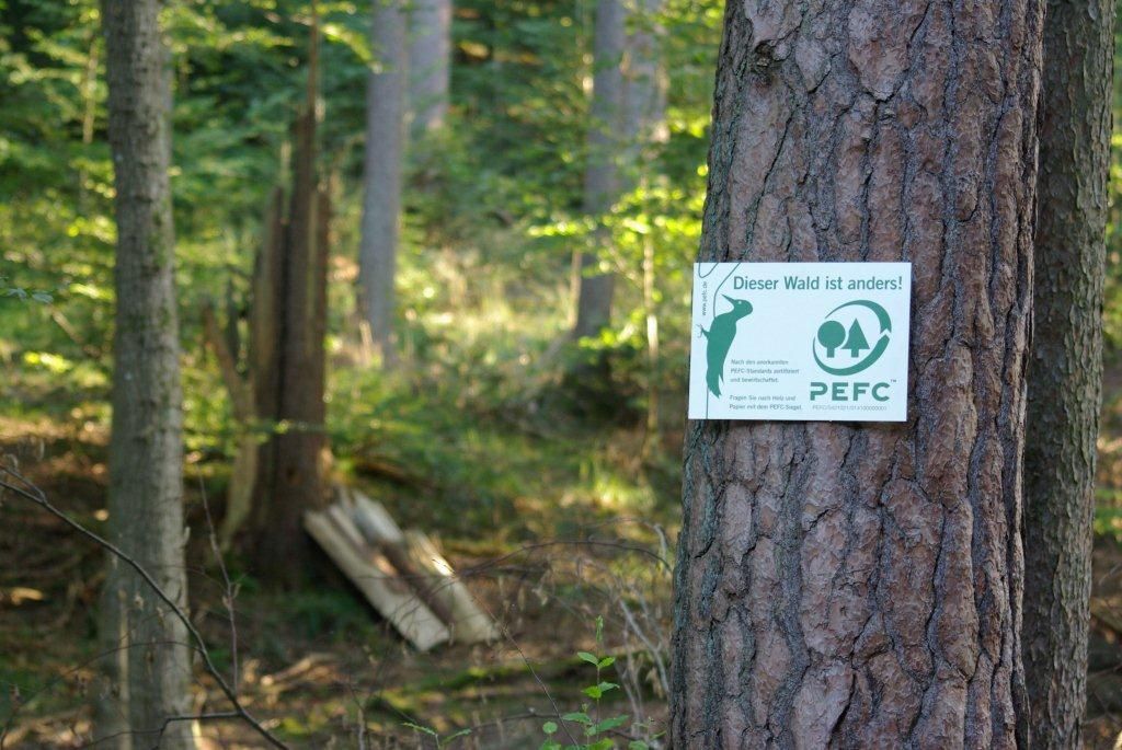 PEFC-Plakette mit grünem Specht - Aufschrift: "Dieser Wald ist anders!"