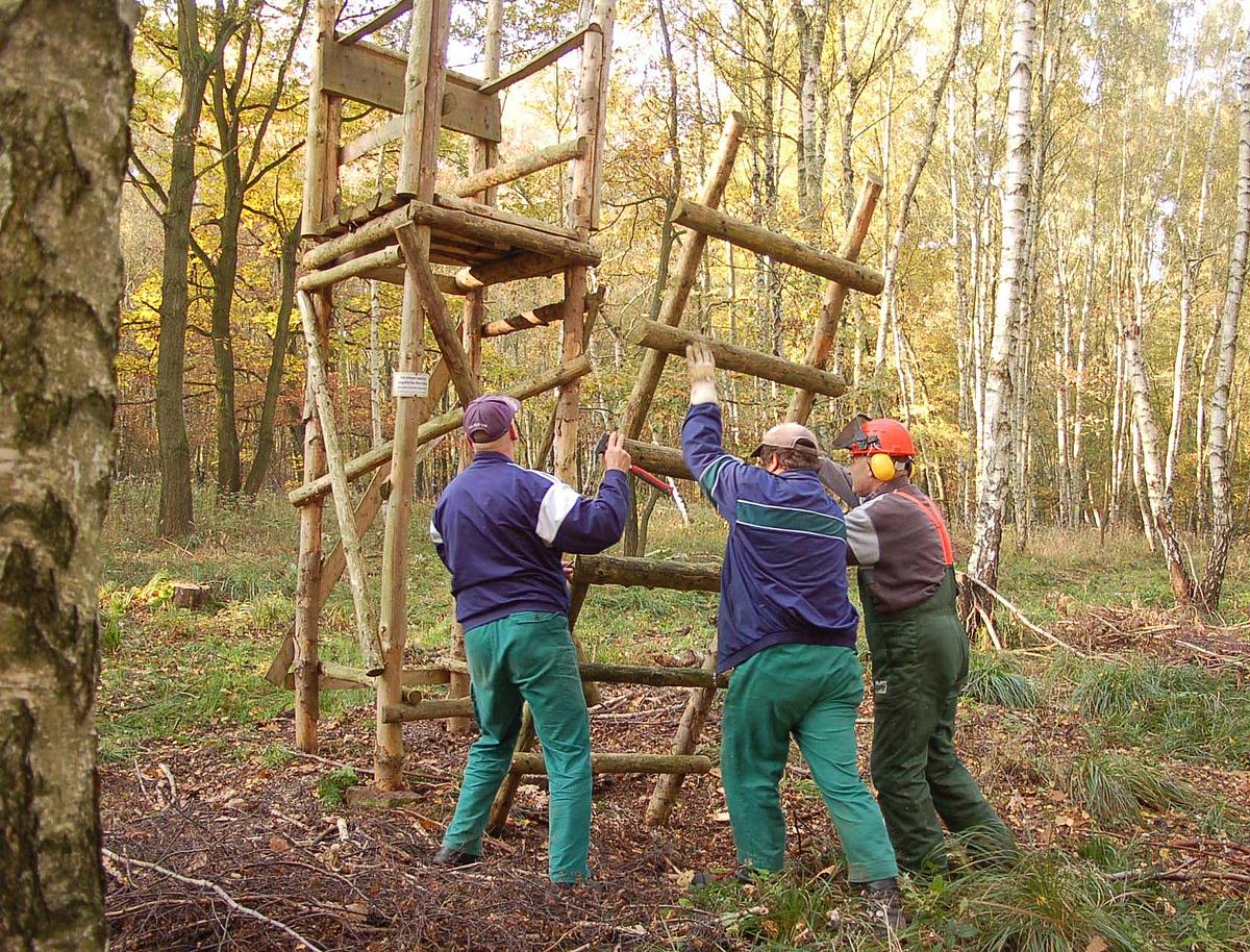 Drei Männer bauen einen Hochsitz im Wald auf