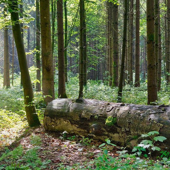 Naturschutz