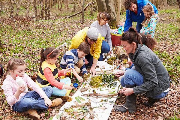 Eine Gruppe von Kindern mit Betreuern bestimmen im Wald Pflanzen. Eine Gruppe von Kindern mit Betreuern sitzt auf dem Waldboden. Zwischen ihnen ist ein langes weißes Tuch ausgebreitet, auf dem verschieden Teile von Pflanzen zur Bestimmung und Betrachtung liegen, Foto: Adobe Stock