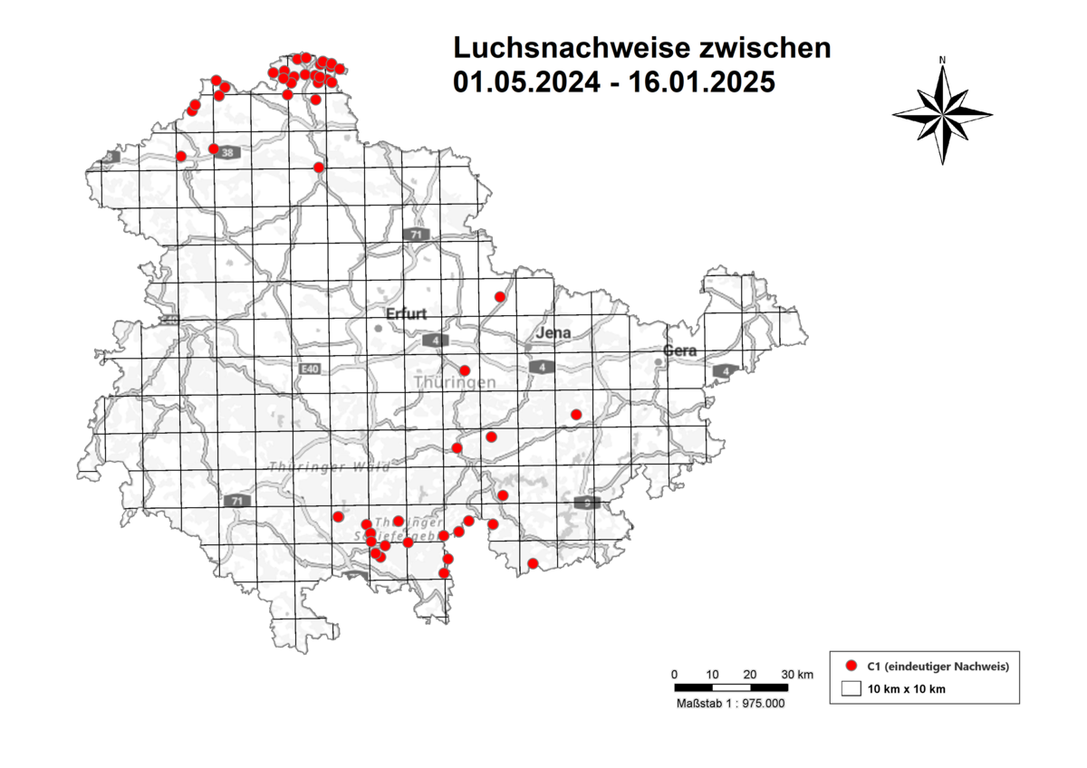 Luchsmeldungen in Thüringen zwischen 01.05.2024 - 16.01.2025