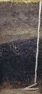 Archivboden - verschiedene Bodenschichten und Zollstock