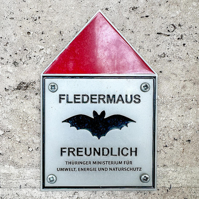 Aktion "Fledermausfreundlich"
