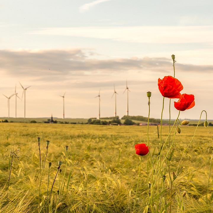 Erneuerbare Energien