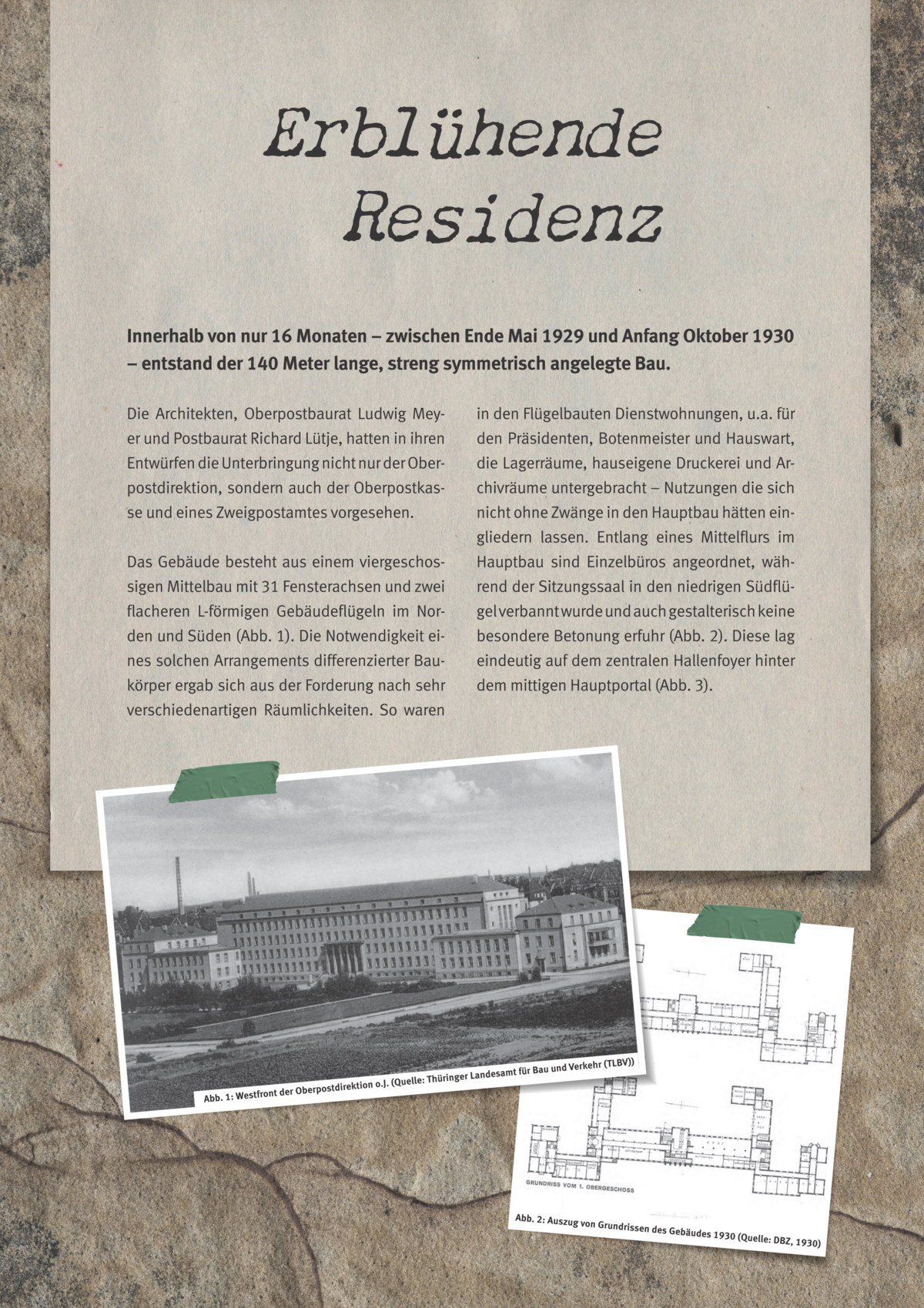 Tafel 7 von 16: Erblühende Residenz