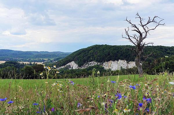 Himmelsberg bei Woffleben (© P. Schneller) Himmelsberg bei Woffleben