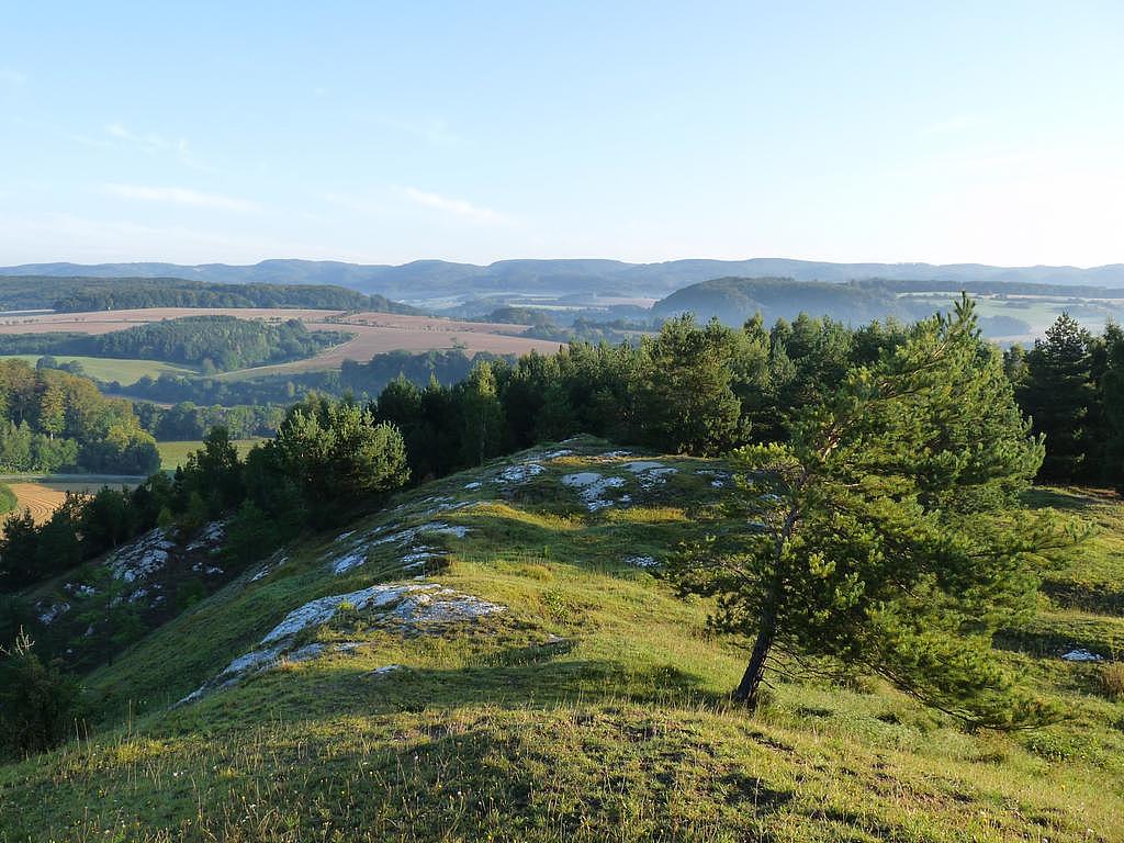 Gipsbuckellandschaft im Unterharz (Foto: Andre Richter). Gipsbuckellandschaft im Unterharz (Foto: Andre Richter).