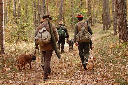 Einige Jäger im Wald mit Hunden