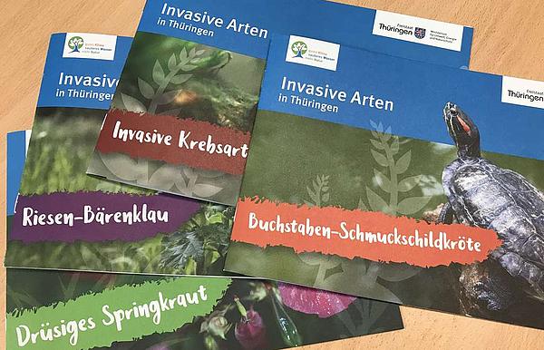 Publikationsreihe: Invasive Arten in Thüringen Mehrere Broschüren über invasive Arten in Thüringen.